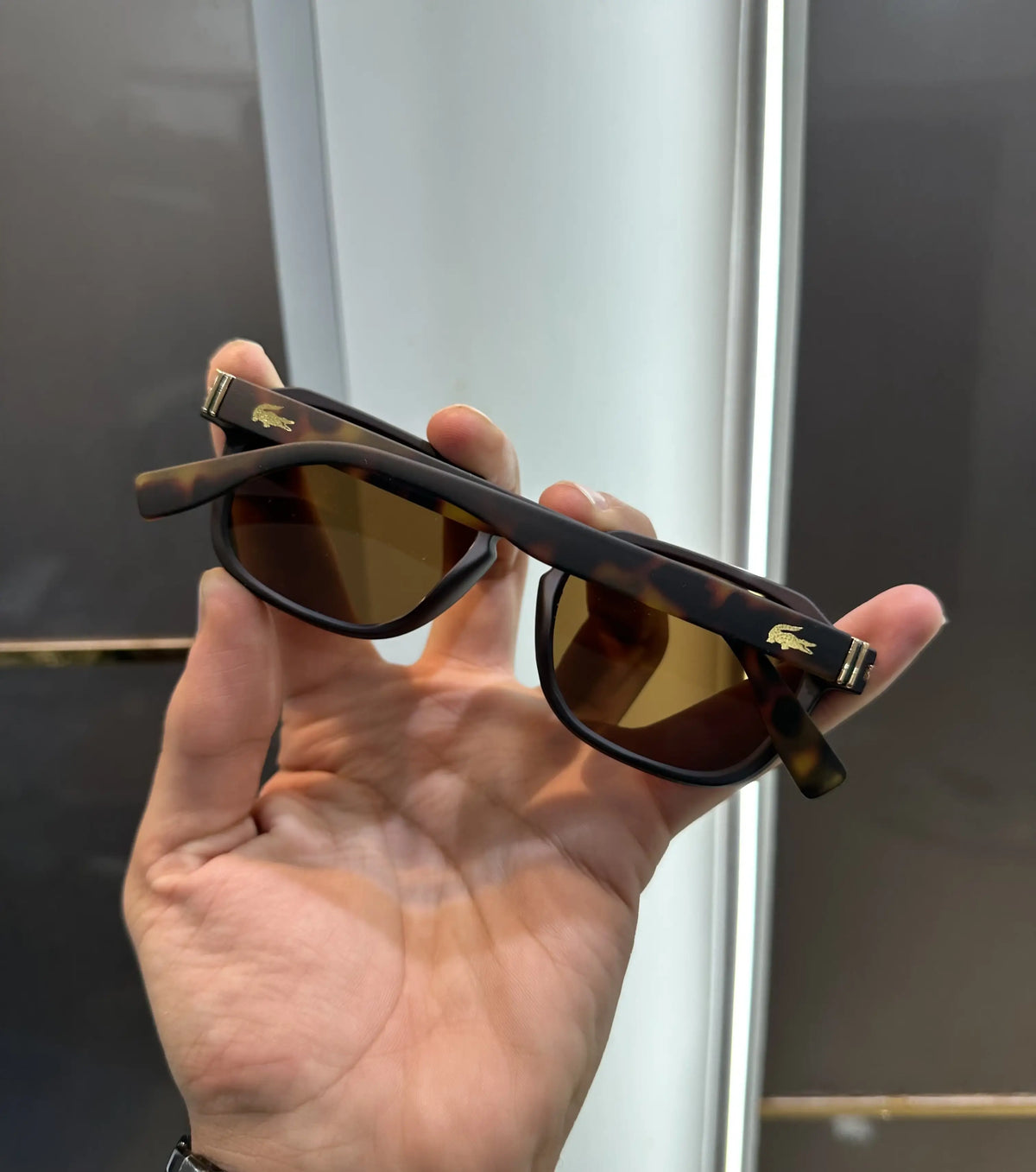 Lacost e Tiger Brown Premium Shades 6046